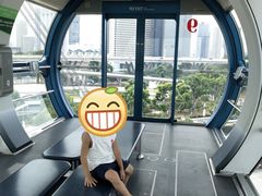 -新加坡摩天观景轮