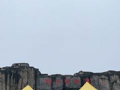 -合肥野生动物园