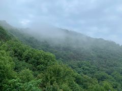 -杭州半山国家森林公园