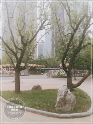 -大望京儿童游乐场