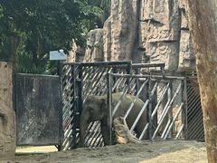 -成都动物园