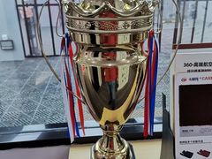 -天猫养车贴膜轻改·蓝电(优匹康桥东路店)