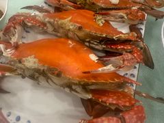 鲜活大螃蟹-北塘海鲜·天津菜·鲅鱼水饺是一绝(大光明桥旗舰店)