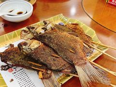 -丁老爷子苏香圆