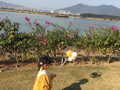 -福建鲤鱼洲酒店