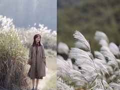 -四明山国家森林公园