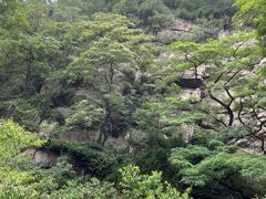 -泰山风景名胜区