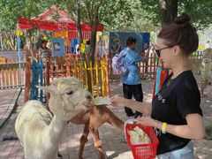 -水上乐园·欢乐世界