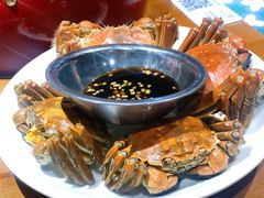 清蒸大闸蟹-0574龙虾的故事(东裕店)