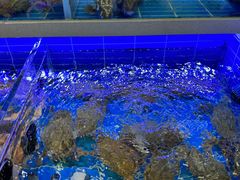 -金海湾海鲜排档(朱家尖店)