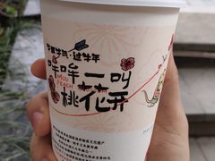 -茶颜悦色(花园道店)