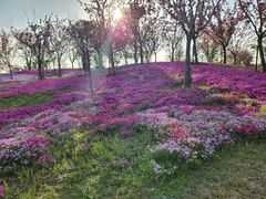 -南通洲际绿博园