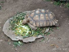 -清迈夜间动物园