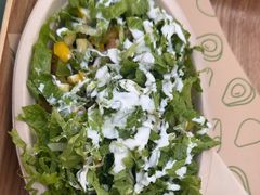 -油梨树AVOCADO TREE(顺义新国展店)