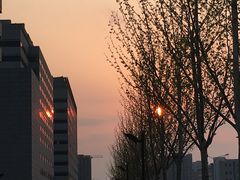 -首都医科大学附属北京天坛医院