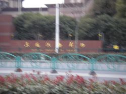 -上海交通大学医学院附属上海儿童医学中心(陆家嘴总院区)