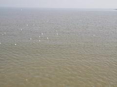 -东疆建设开发纪念公园