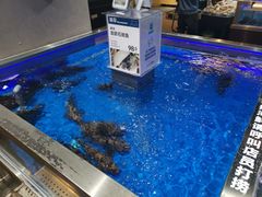 -盒马鲜生(枣园路店)