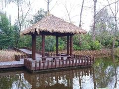 -溱湖国家湿地公园