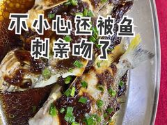 -大湾区中央湿地公园