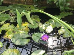 -国家植物园南园