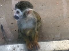 -石家庄市动物园