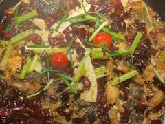 -老板恋上鱼(恒隆广场店)