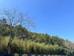 -宁波柏悦酒店·钱湖渔港