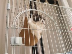 -猫的天空之城概念书店(北戴河蔚蓝海岸店)