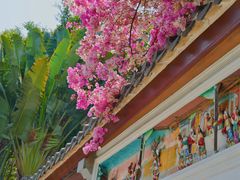 -深圳国际园林花卉博览园