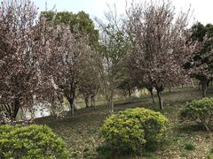 景点-梁鸿国家湿地公园