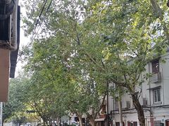 -上海新锦江大酒店