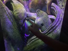 -太平洋海底世界