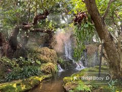 -Chom Cafe and Restaurant