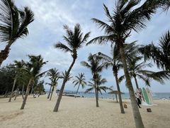 -玫瑰海岸文化旅游度假区