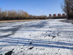 -森林公园(尖草坪区)