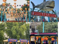 -海合安武汉极地海洋公园