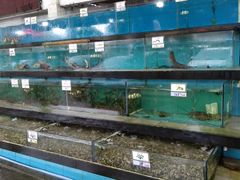 水产区-钱大妈海鲜饭店(旅游大道店)