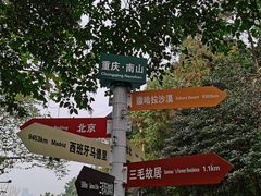 -南山植物园