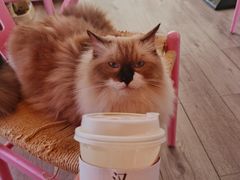 -灯塔咖啡馆BOOK·Coffee Shop