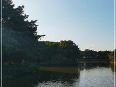 -大湾区中央湿地公园