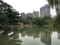 -西苑公园