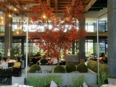 -拈菜(观音桥阳光世纪店)