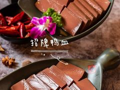 -谭鸭血老火锅(万象九宜城店)