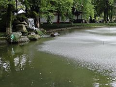 -温江公园
