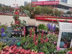 -天河体育中心