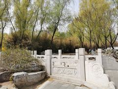 -莲花池公园