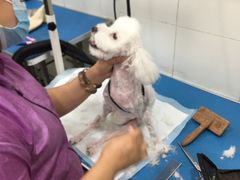 -宠颐生中康贝怡动物医院