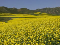 -扁都口生态休闲旅游区