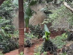 -海南热带野生动植物园